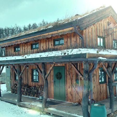 Chalet Boruvka - Biofarma Na Samote V Lesich Benesov  ภายนอก รูปภาพ