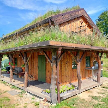 Chalet Boruvka - Biofarma Na Samote V Lesich Benesov  ภายนอก รูปภาพ
