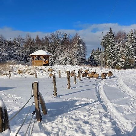 Chalet Boruvka - Biofarma Na Samote V Lesich Benesov  ภายนอก รูปภาพ