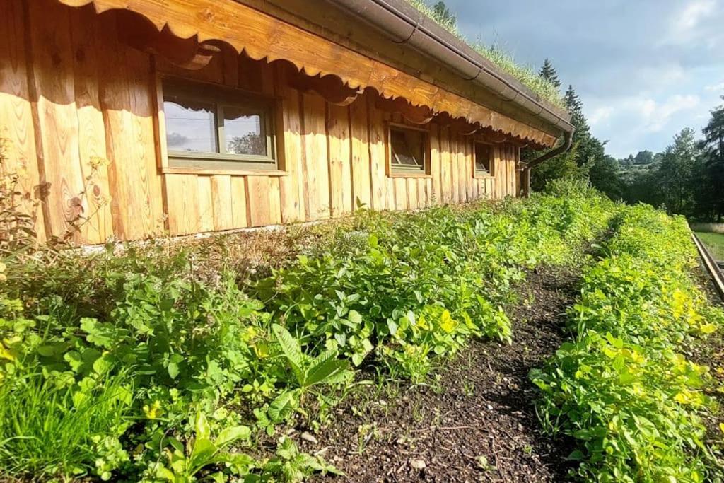 Chalet Boruvka - Biofarma Na Samote V Lesich Benesov  ภายนอก รูปภาพ