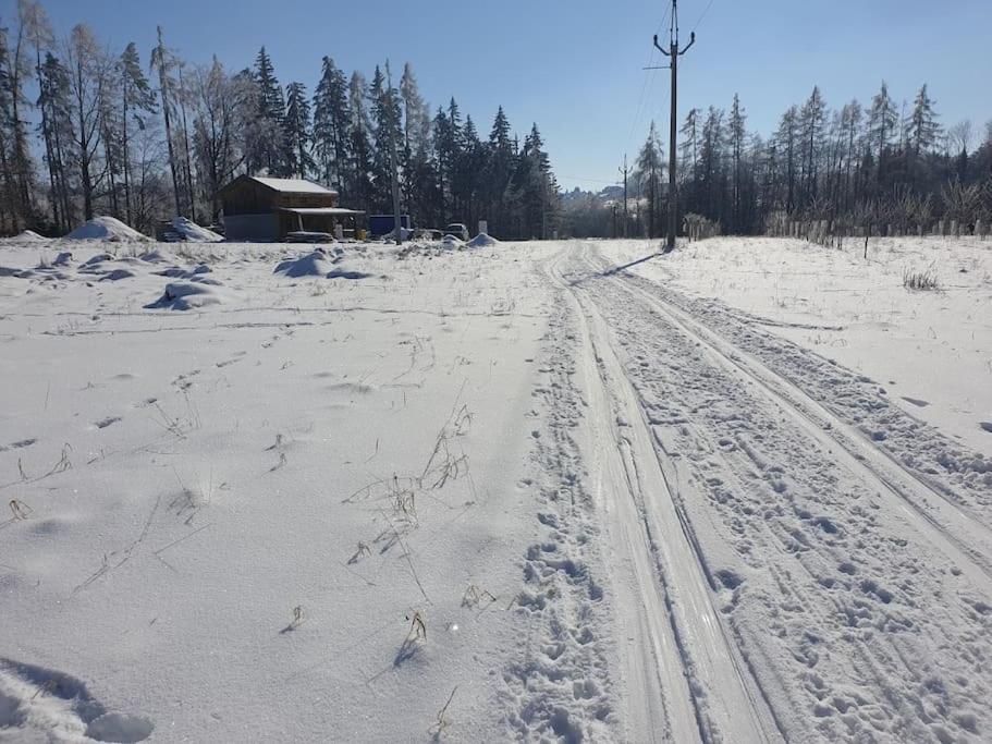 Chalet Boruvka - Biofarma Na Samote V Lesich Benesov  ภายนอก รูปภาพ