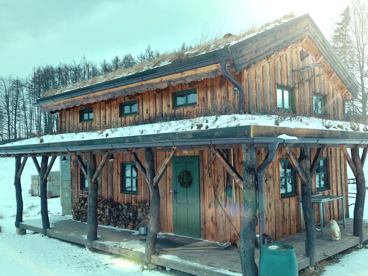 Chalet Boruvka - Biofarma Na Samote V Lesich Benesov  ภายนอก รูปภาพ