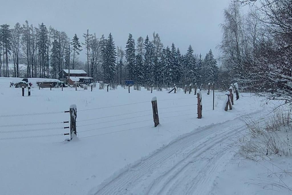 Chalet Boruvka - Biofarma Na Samote V Lesich Benesov  ภายนอก รูปภาพ
