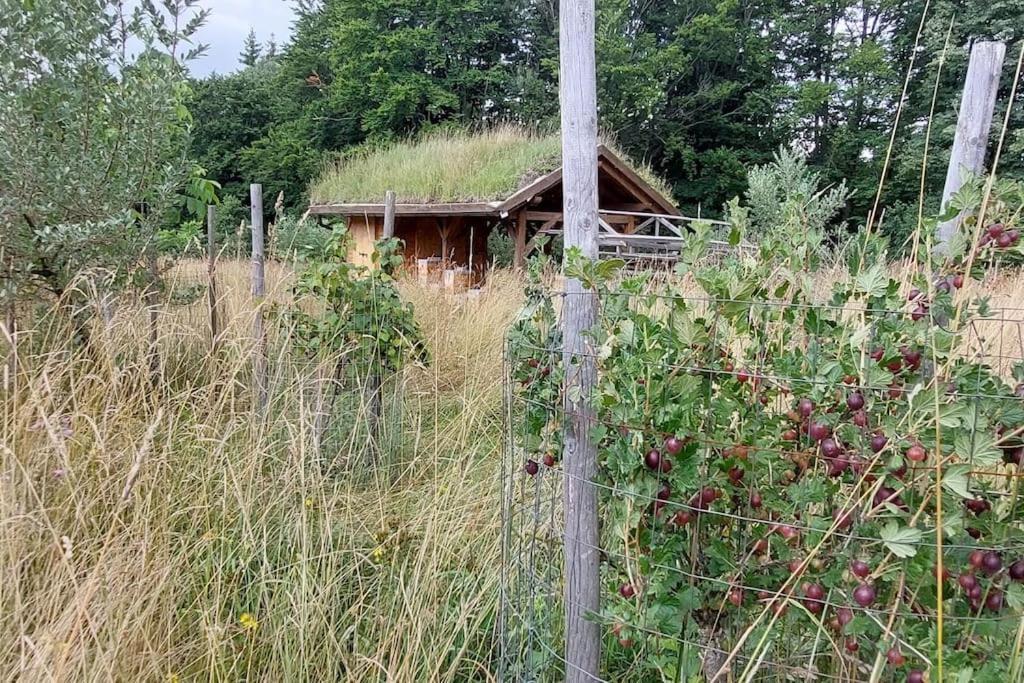 Chalet Boruvka - Biofarma Na Samote V Lesich Benesov  ภายนอก รูปภาพ