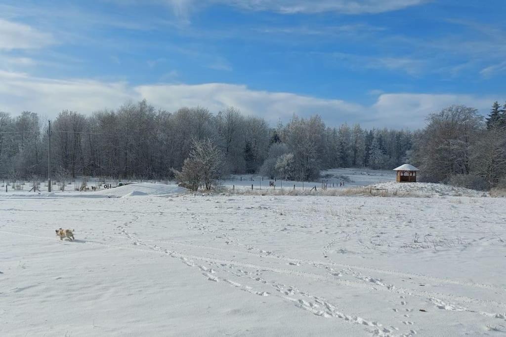 Chalet Boruvka - Biofarma Na Samote V Lesich Benesov  ภายนอก รูปภาพ