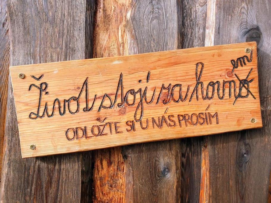 Chalet Boruvka - Biofarma Na Samote V Lesich Benesov  ภายนอก รูปภาพ