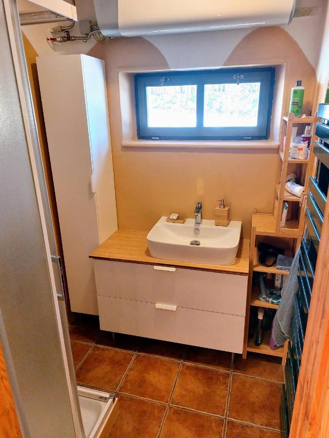 Chalet Boruvka - Biofarma Na Samote V Lesich Benesov  ภายนอก รูปภาพ