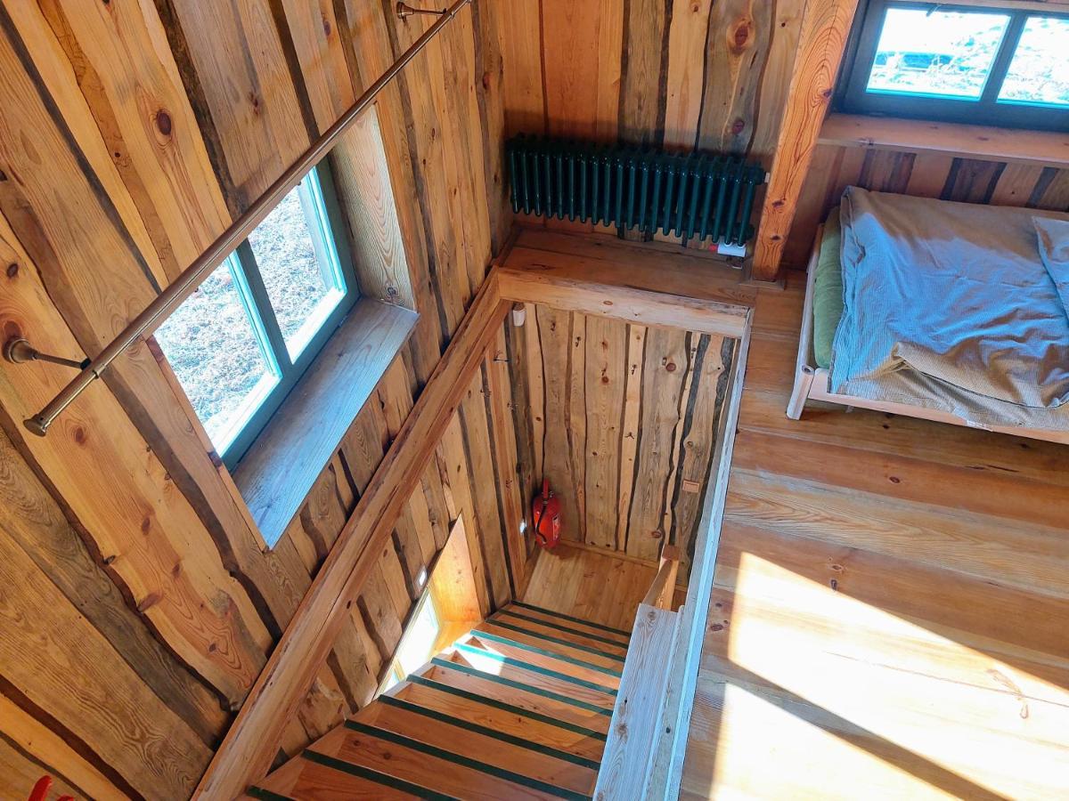 Chalet Boruvka - Biofarma Na Samote V Lesich Benesov  ภายนอก รูปภาพ