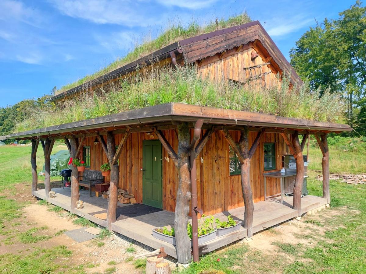 Chalet Boruvka - Biofarma Na Samote V Lesich Benesov  ภายนอก รูปภาพ
