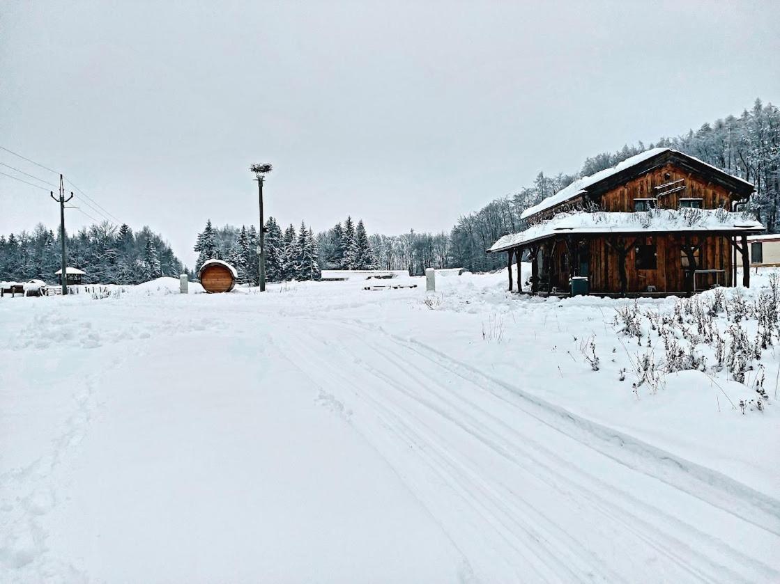 Chalet Boruvka - Biofarma Na Samote V Lesich Benesov  ภายนอก รูปภาพ