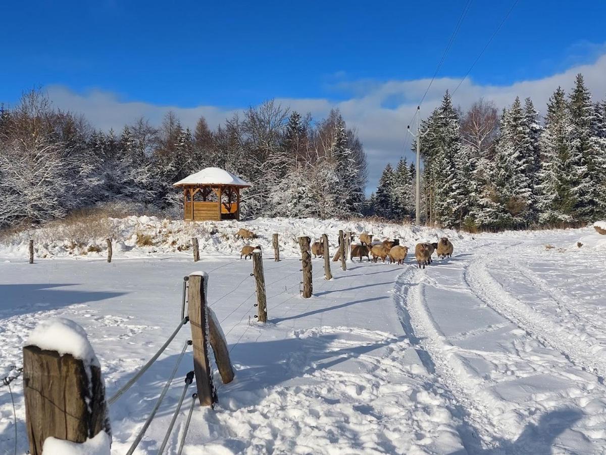 Chalet Boruvka - Biofarma Na Samote V Lesich Benesov  ภายนอก รูปภาพ